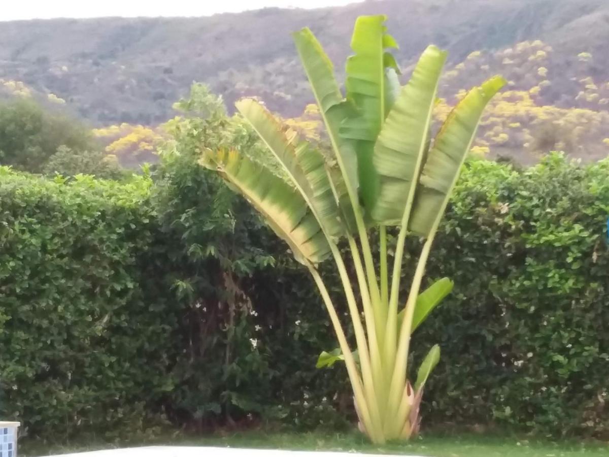 C&H Casa Campestre El Oasis Ricaurte Girardot Bed & Breakfast Bagian luar foto